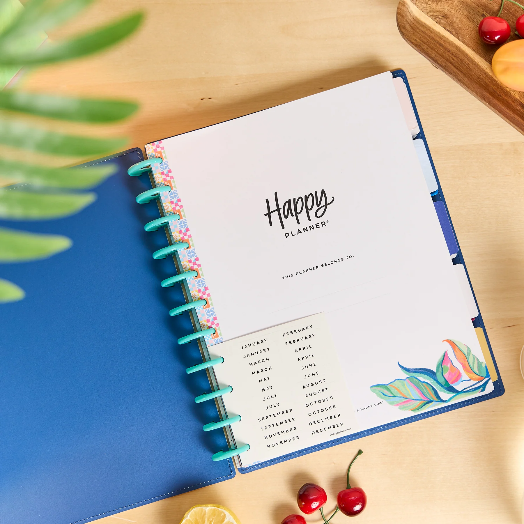 DELUXE Undated Sunshine Splash Customizable Planner - Big Dashboard Layout - 12 Months - Image 12