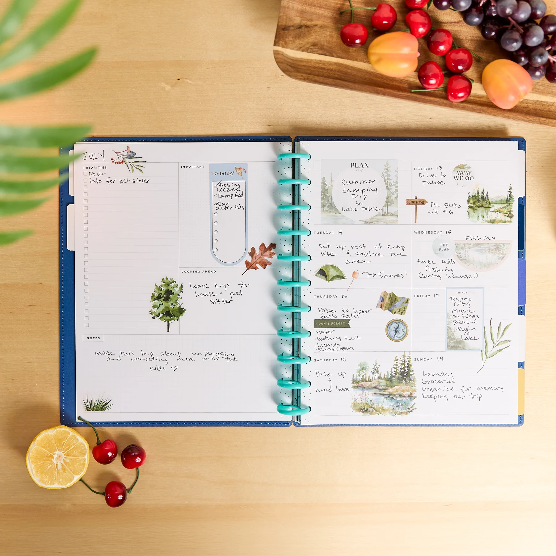 DELUXE Undated Sunshine Splash Customizable Planner - Big Dashboard Layout - 12 Months - Image 5