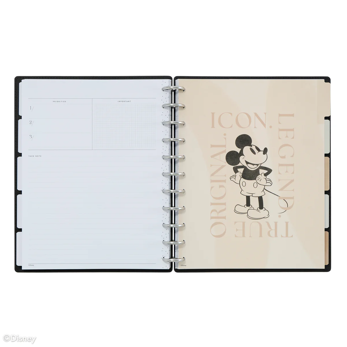Undated DELUXE Disney Mod Mickey Mouse Customizable Planner - Big Horizontal Layout - 12 Months - Image 5