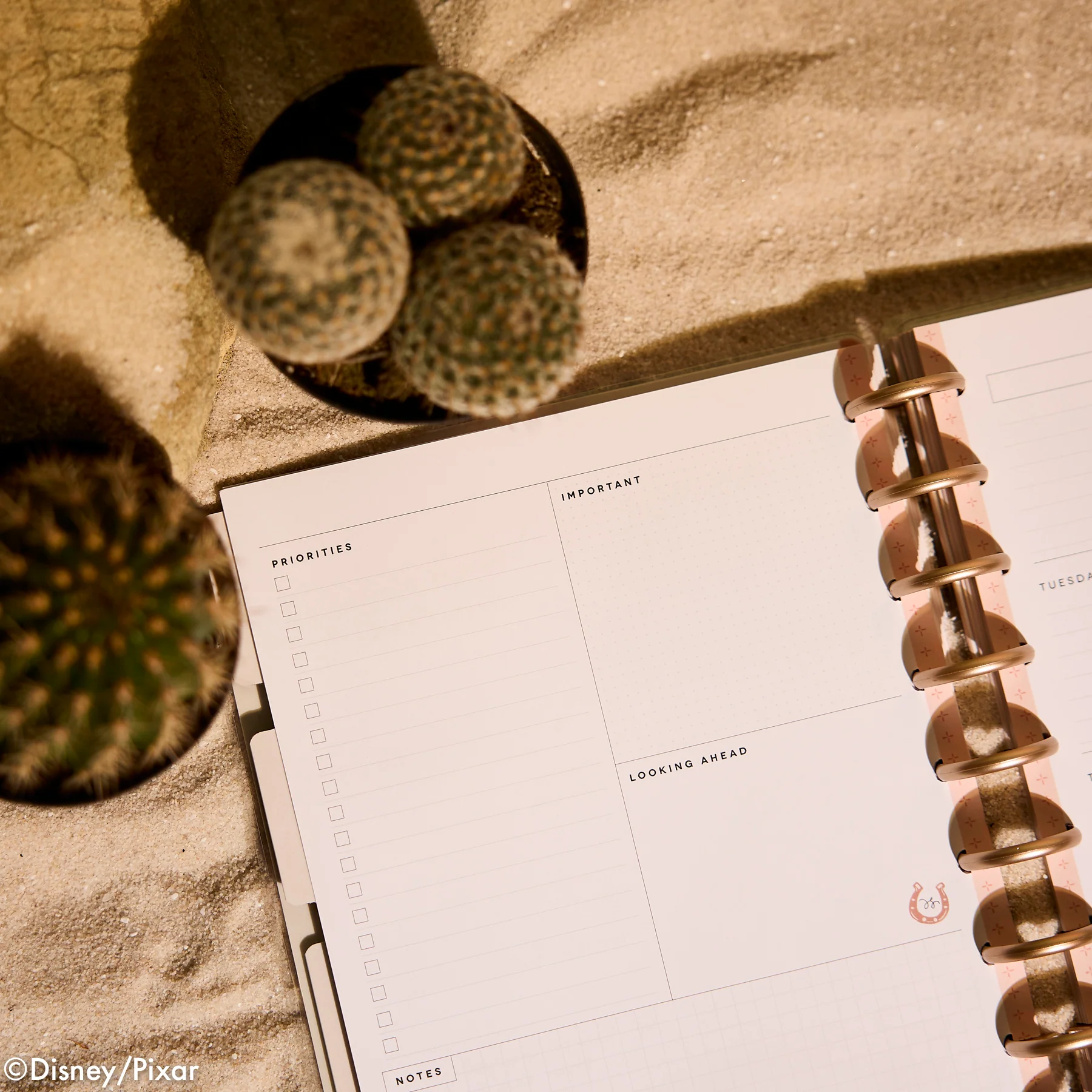 Undated Disney & Pixar Toy Story Desert Rodeo Customizable Planner - Classic Dashboard Layout - 12 Months - Image 11