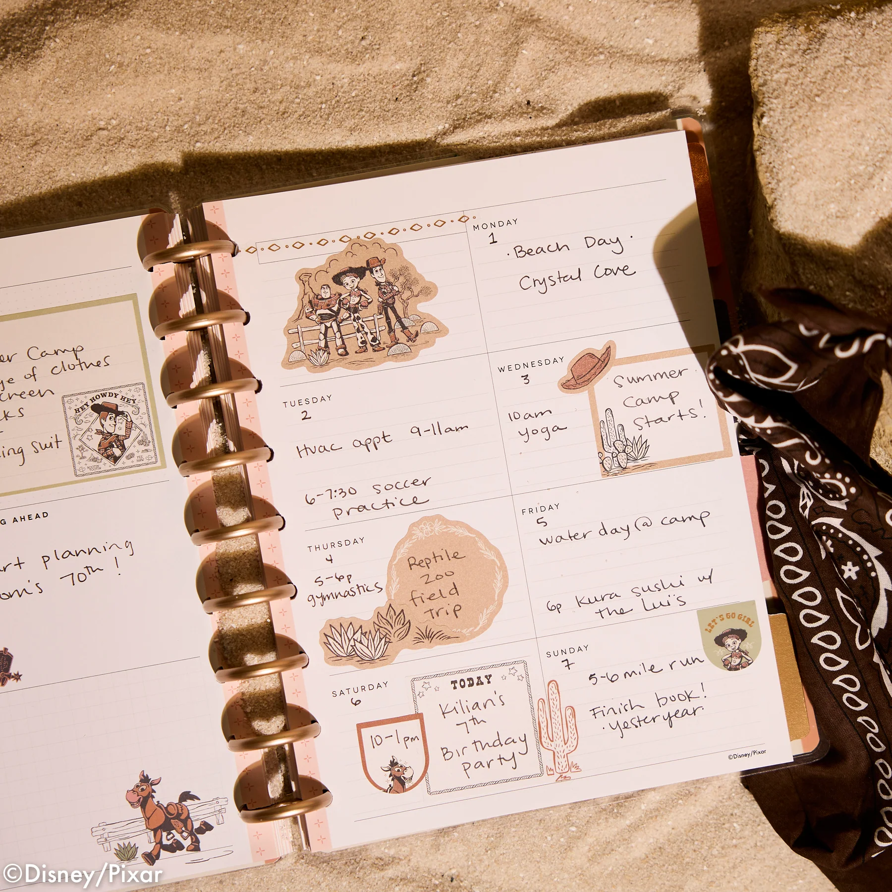 Undated Disney & Pixar Toy Story Desert Rodeo Customizable Planner - Classic Dashboard Layout - 12 Months - Image 6